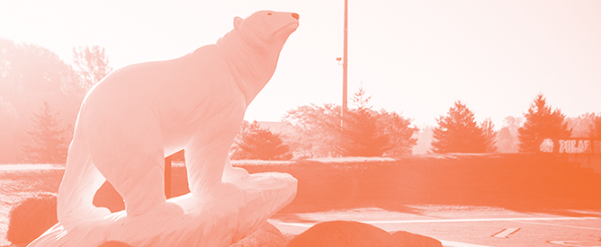 Photo of polar bear statue